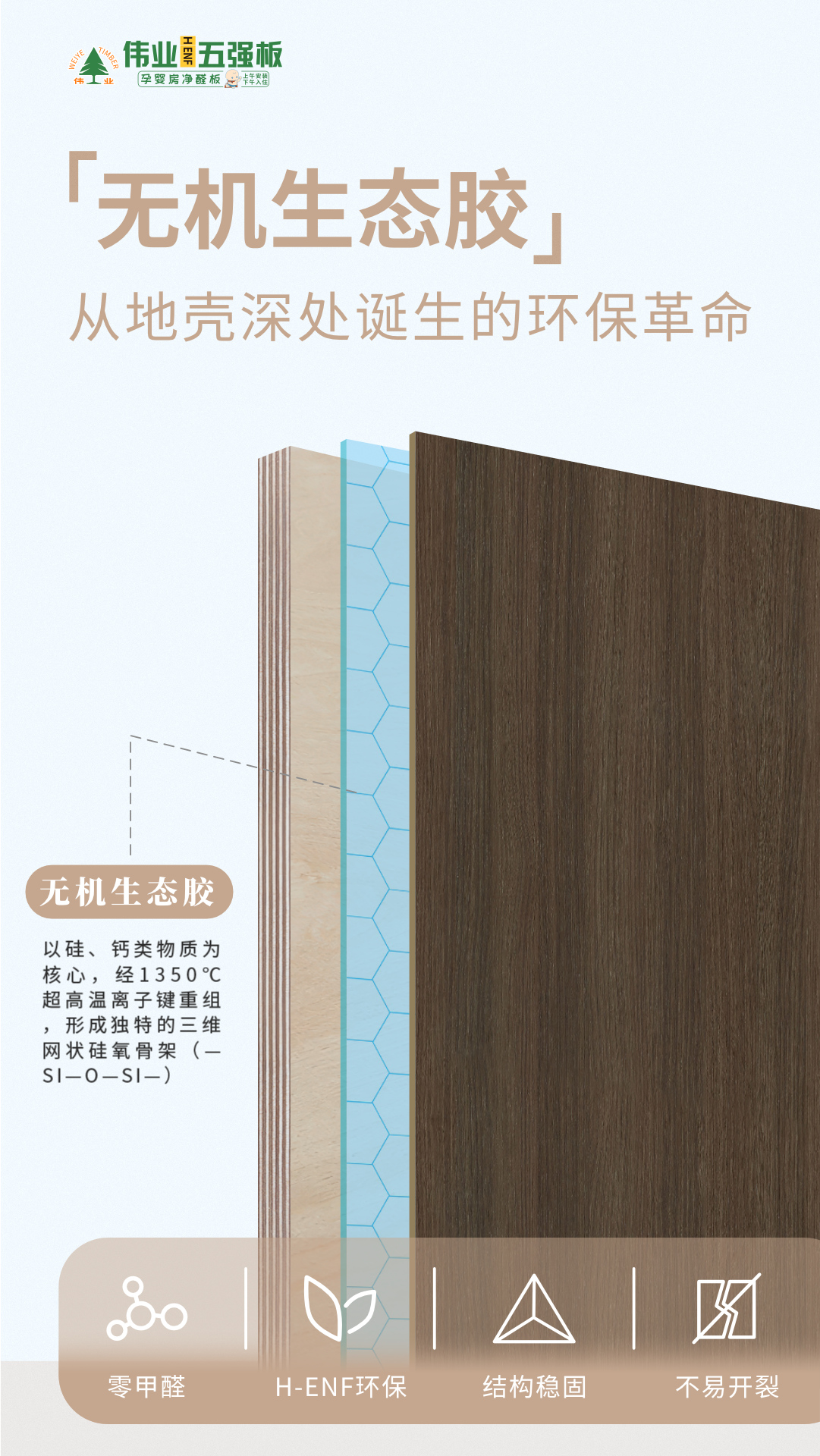 画板3.jpg