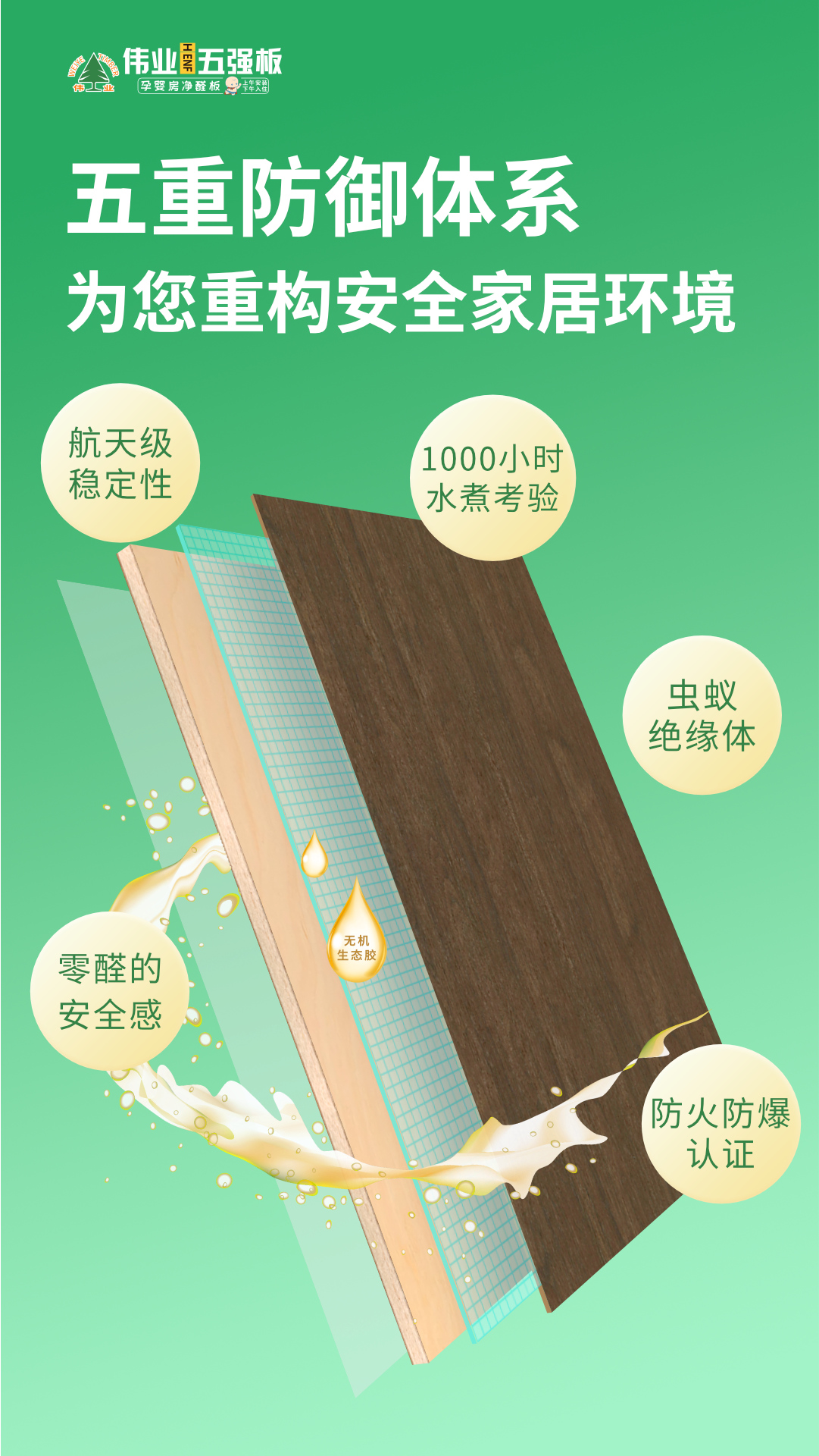 画板5.jpg