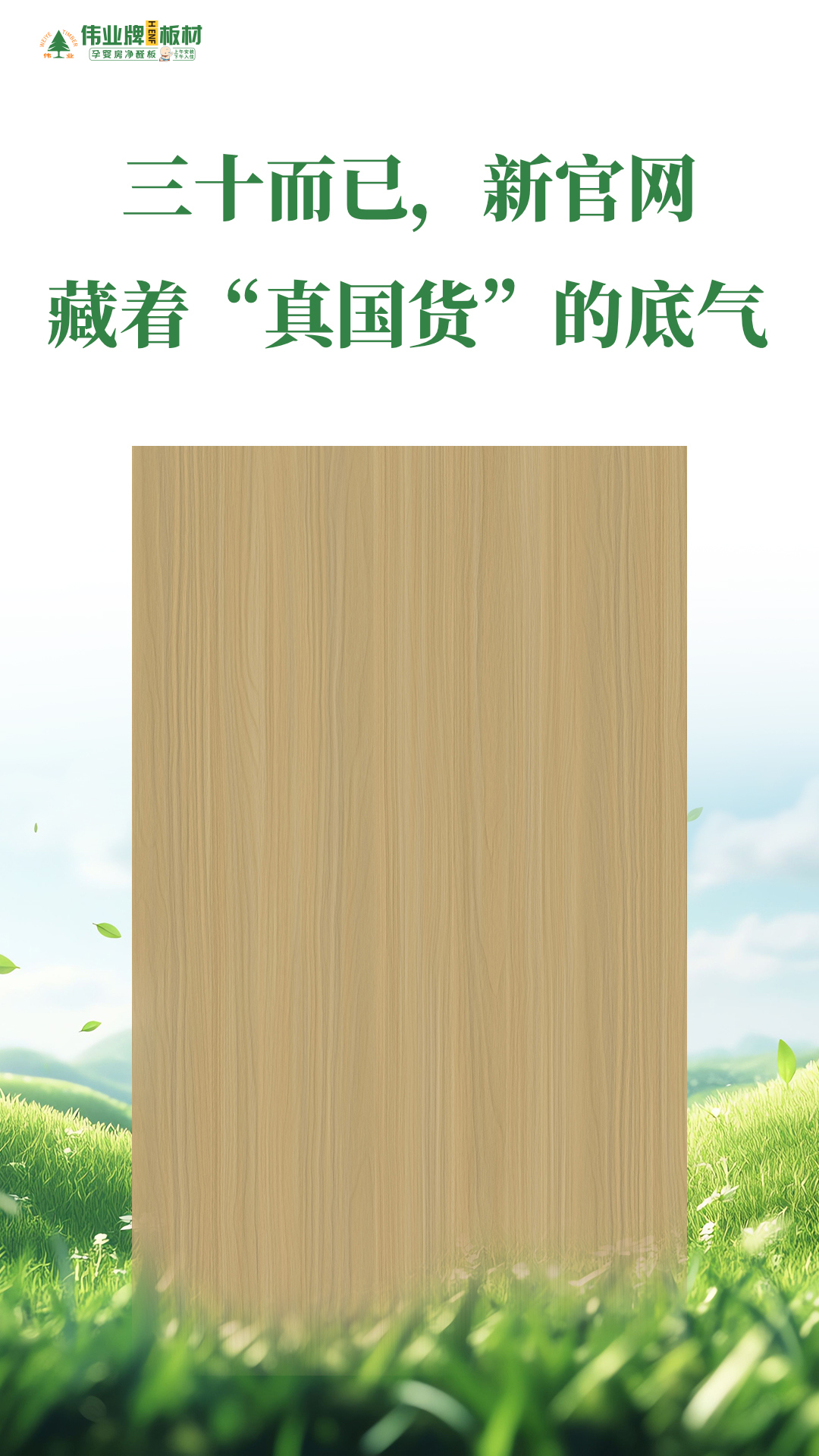 画板3.jpg