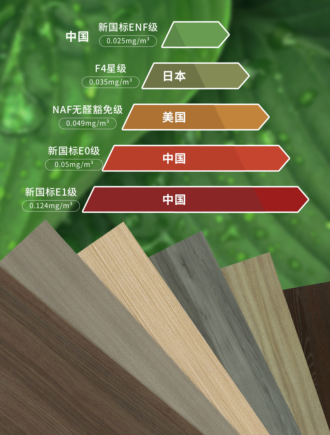画板6.jpg