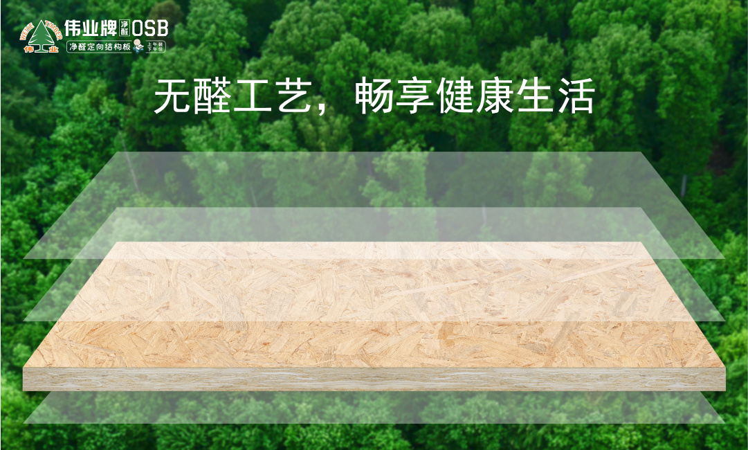 画板5.jpg