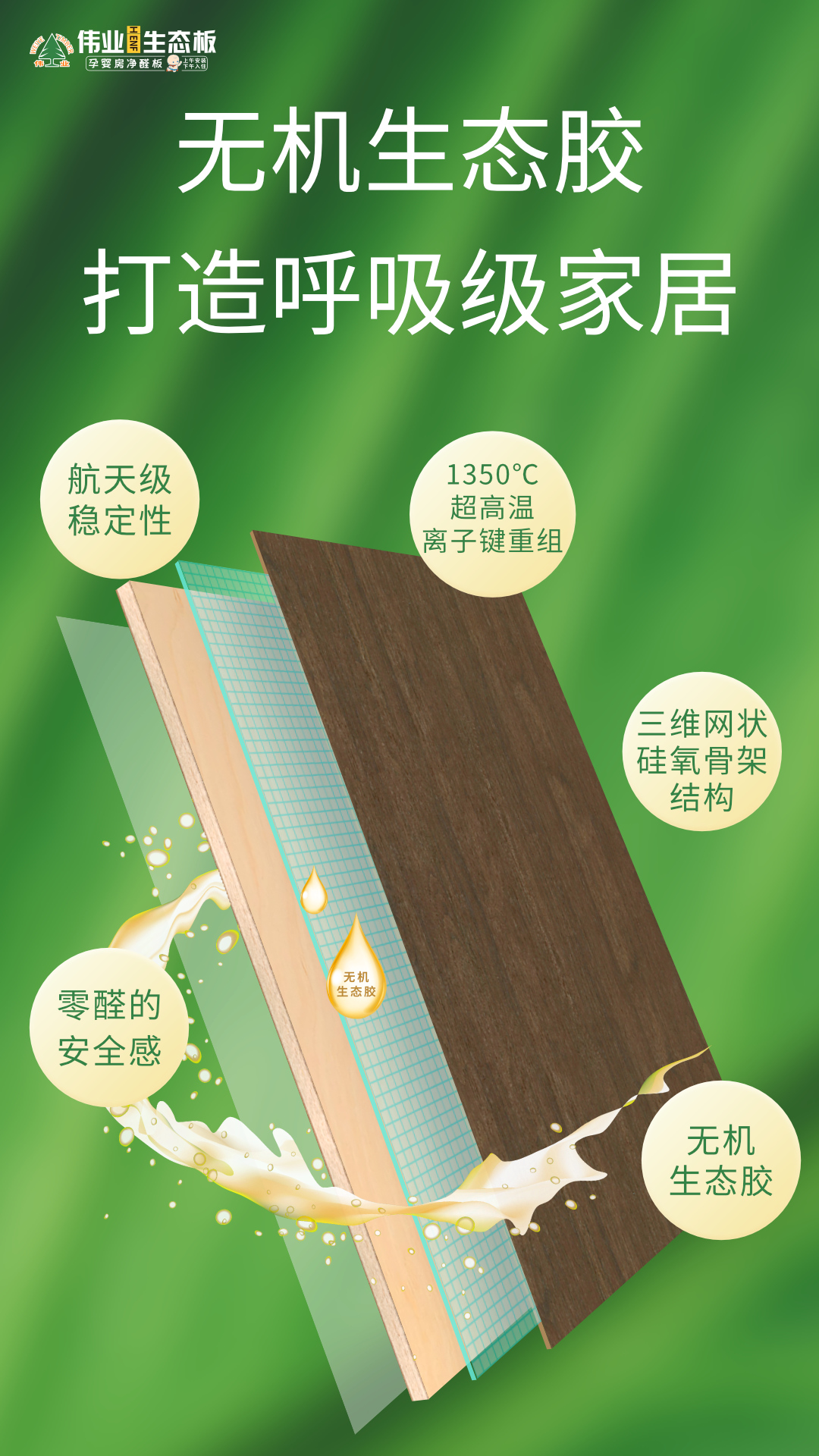 画板4.jpg