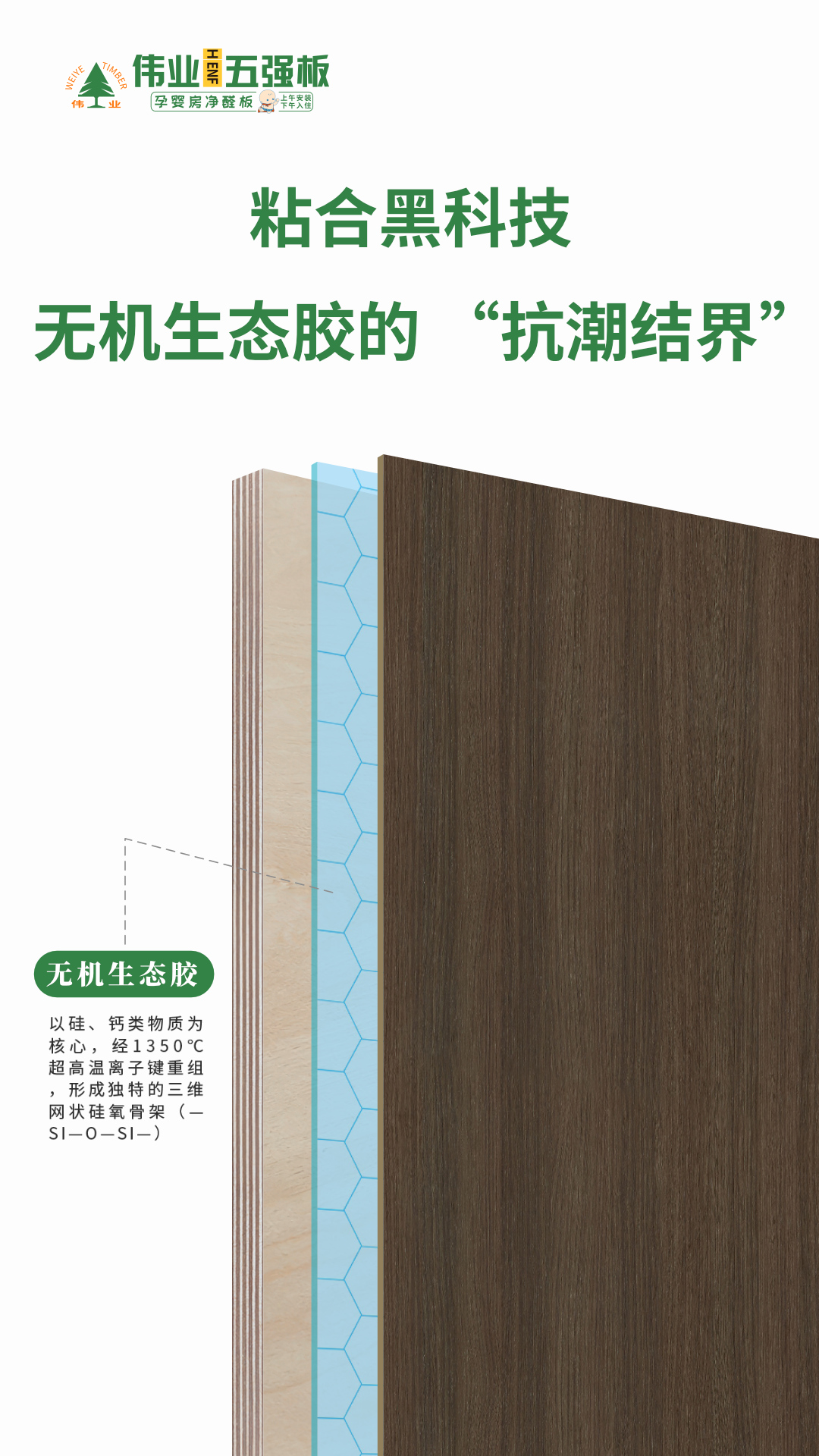 画板5.jpg