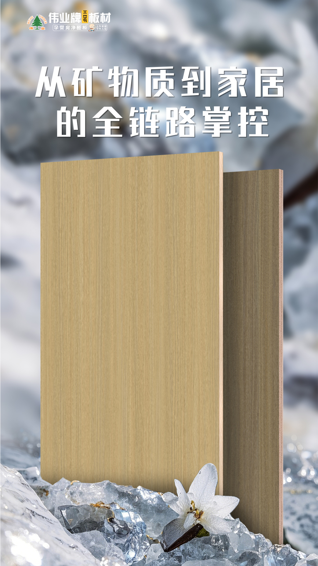 画板2.jpg