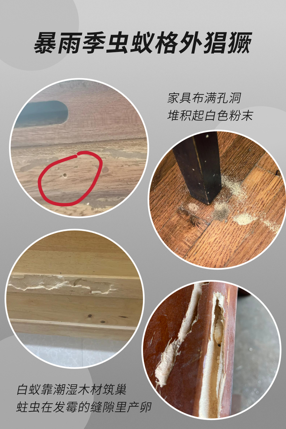 画板2.jpg