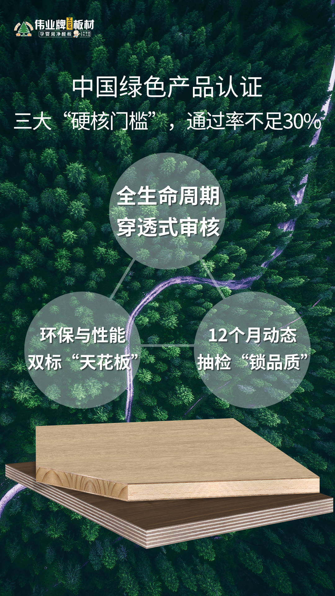 画板2.jpg