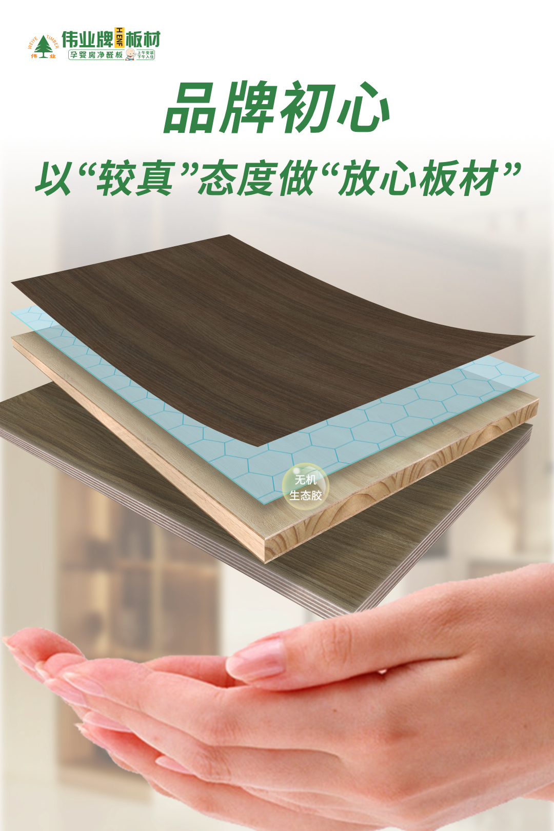 画板6.jpg