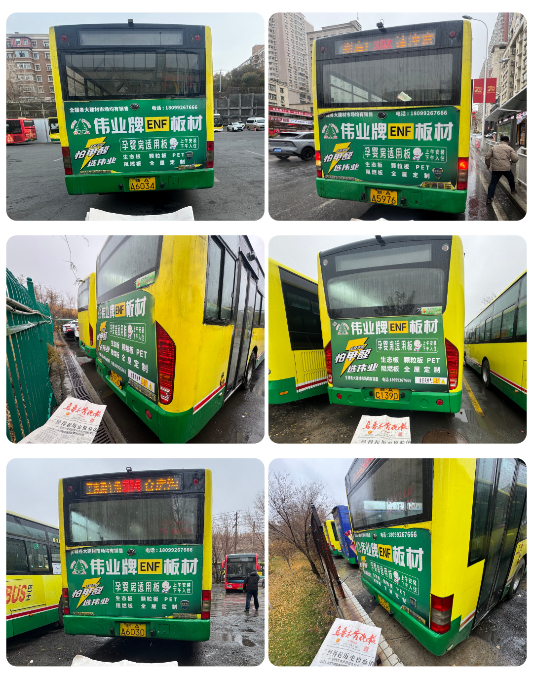画板11.jpg