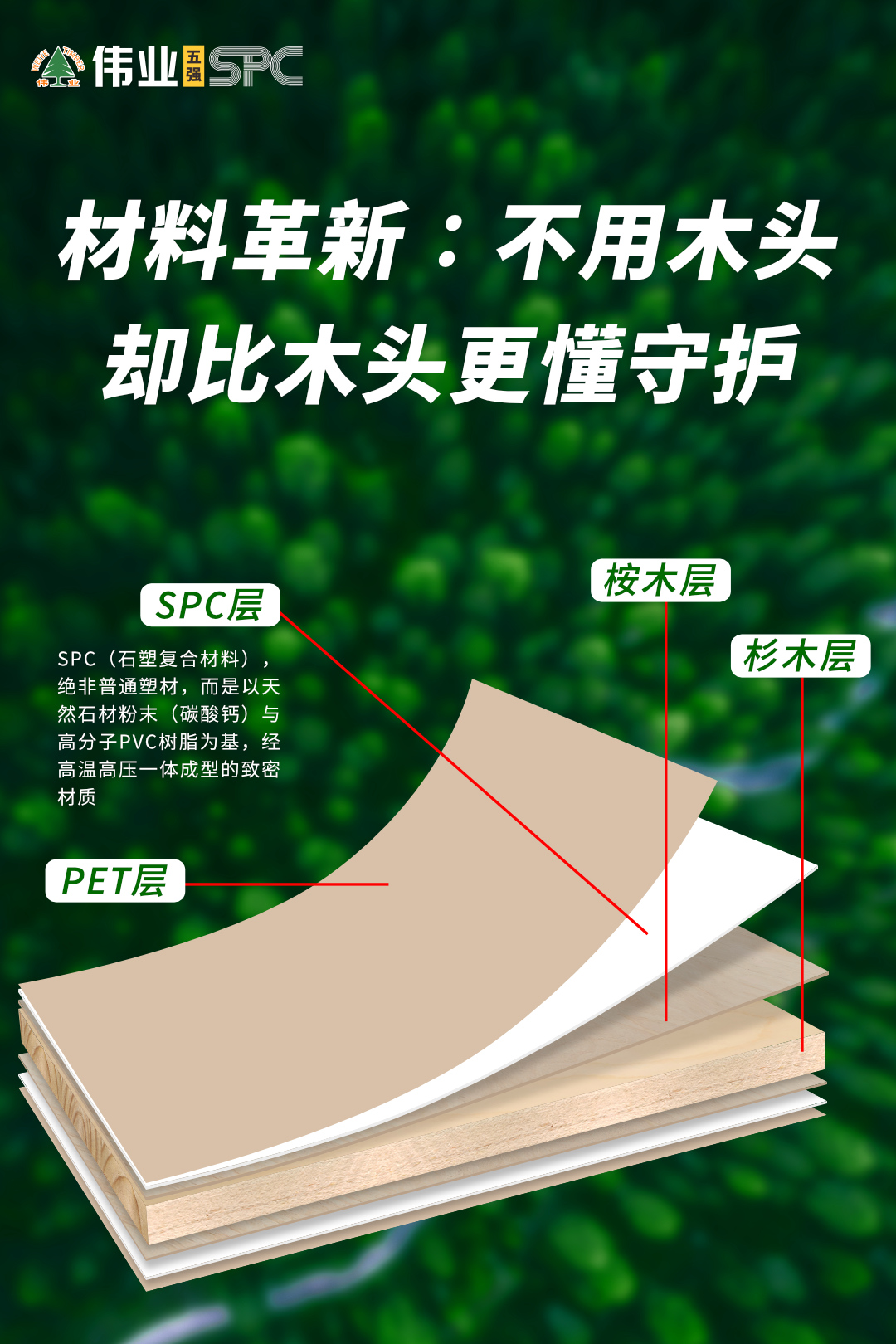 画板2.jpg