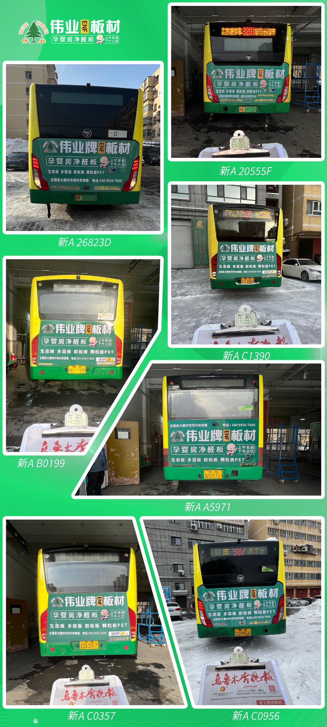 画板6.jpg