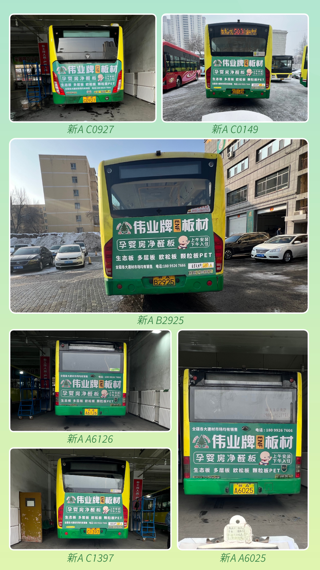 画板9.jpg