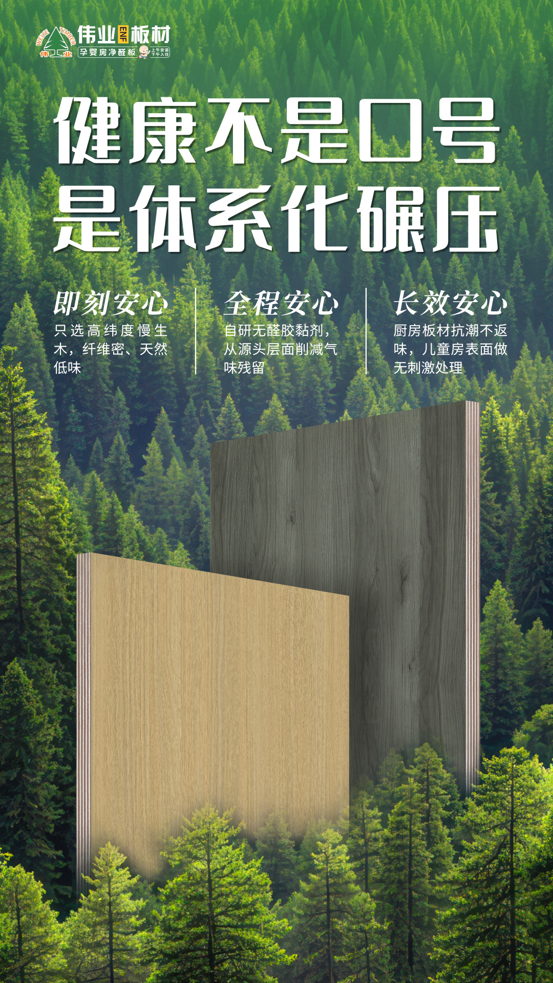 画板3.jpg