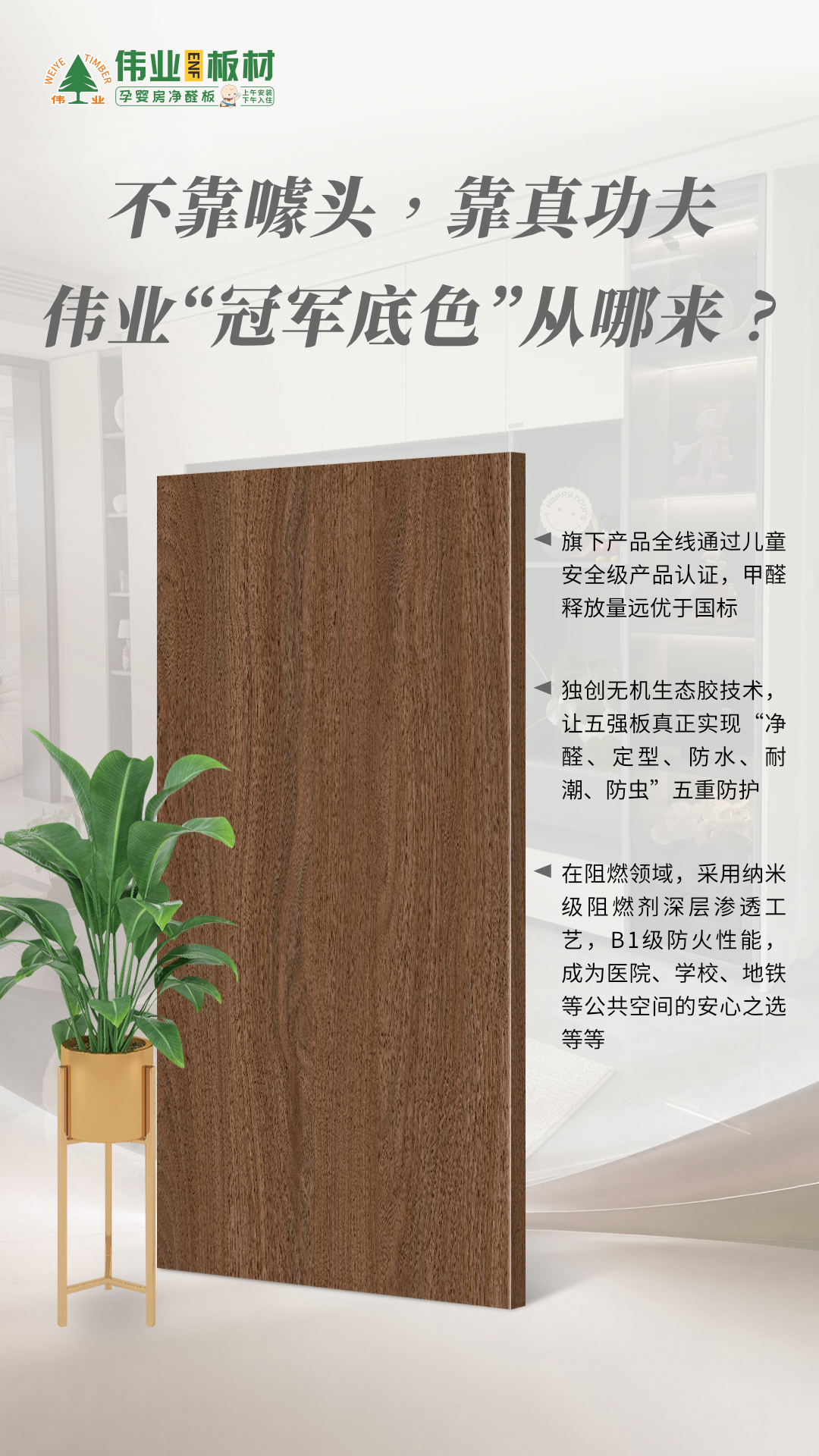 画板2.jpg