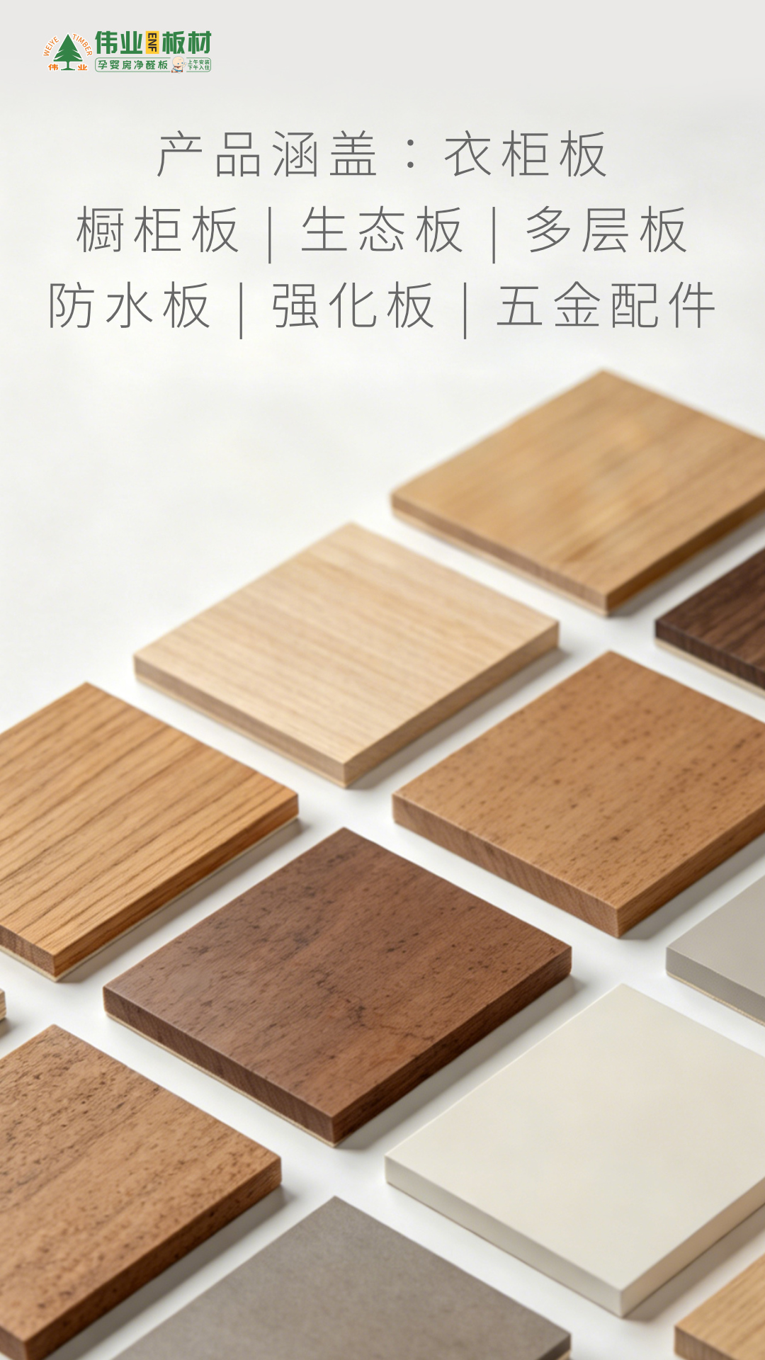 画板3.jpg